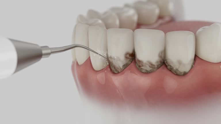 Reliable Dental contractor in Wyandotte, MI by Dentist Open Now